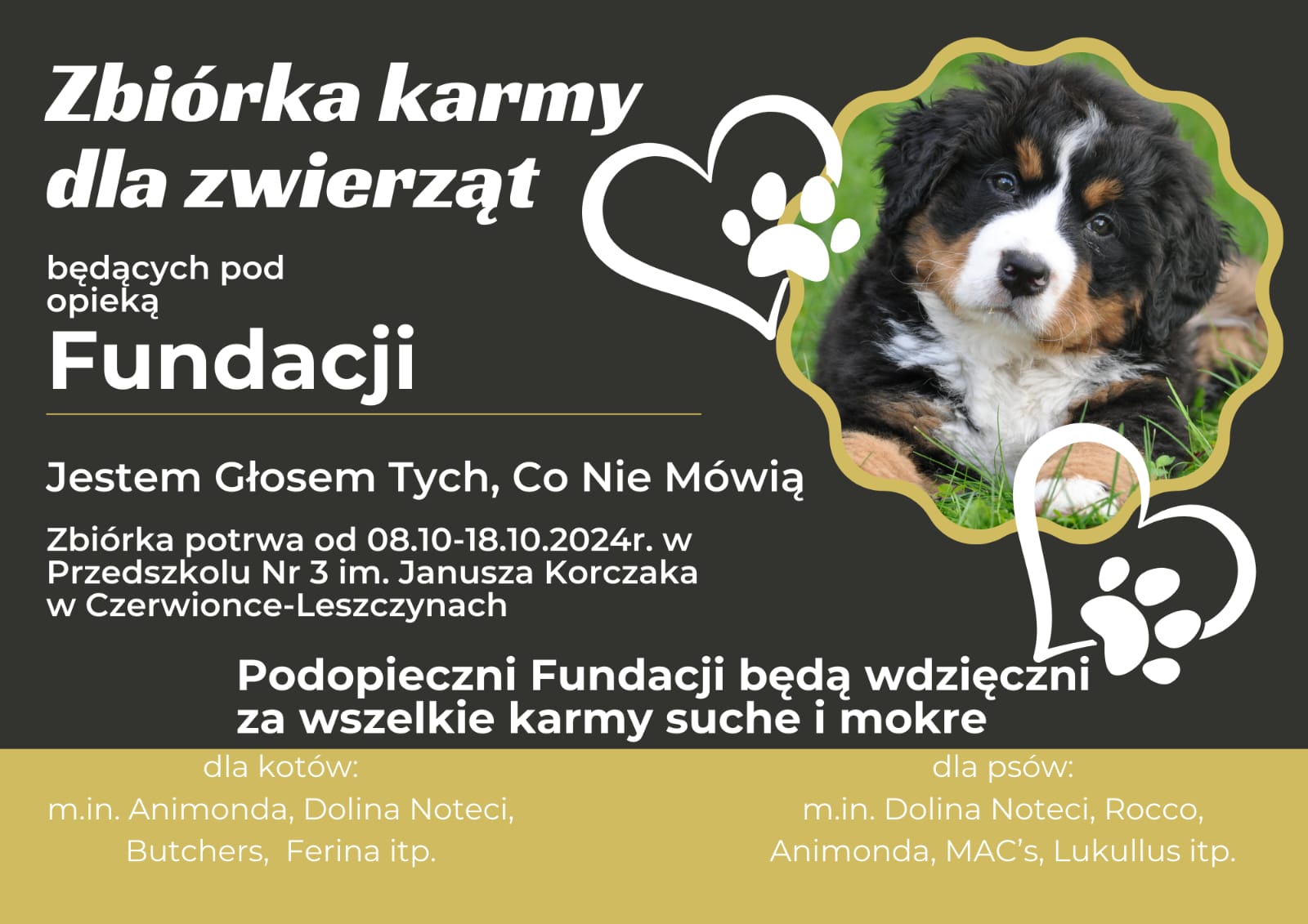 plakat zbiórka karmy